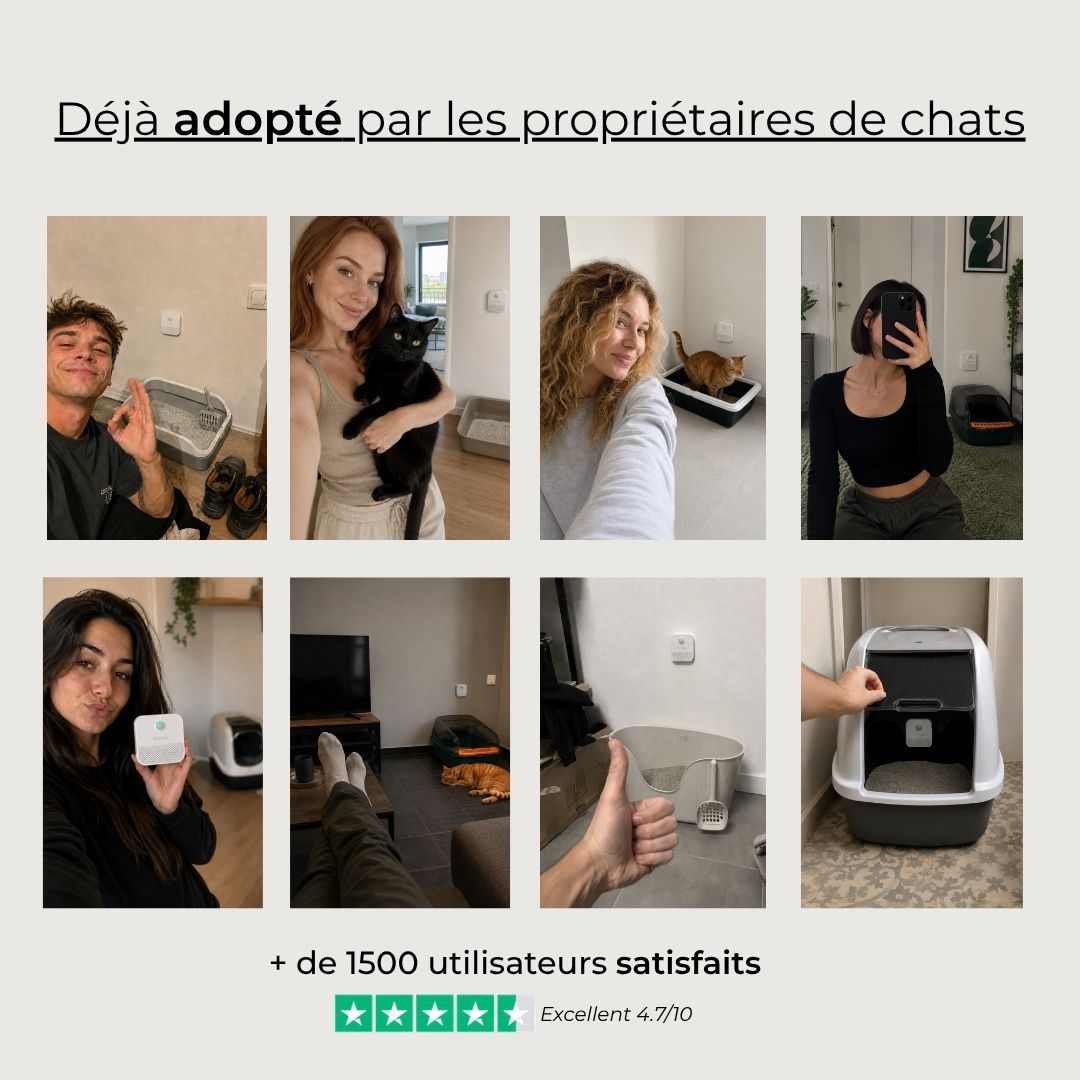 Purificateur d'air pour litière