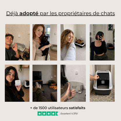 Purificateur d'air pour litière